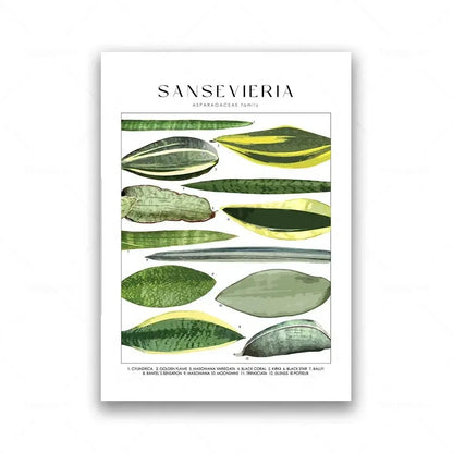 Botanical Specimen Posters Green Leaves Wall Art Canvas Prints For Kitchen Dining Room Living Room Decor
