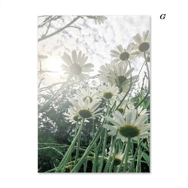 Spring Scenery Forest Landscape Flowers Canvas Prints Nature Wall Art For Modern Living Room Home Décor