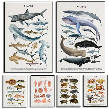 Whale Shark Seashells Turtles Octopus Fish Marine Life Educational Canvas Prints Wall Art For Children Room Office Home Décor