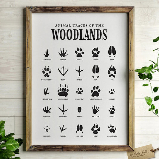 Woodland Animals Tracks Print Minimalist Poster Wall Art For Children Room Home Décor