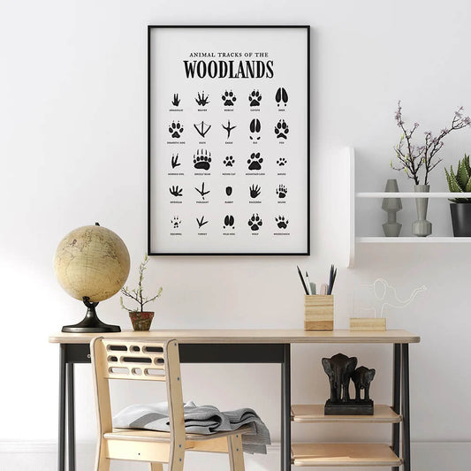 Woodland Animals Tracks Print Minimalist Poster Wall Art For Children Room Home Décor