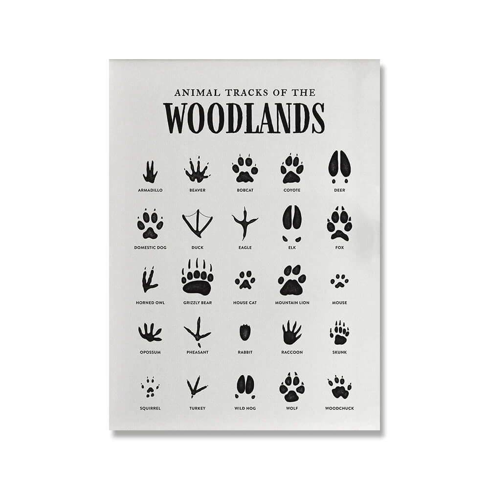 Poster displaying various animal tracks found in woodlands, including coyote, deer, domestic dog, duck, eagle, elk, fox, horned owl, grizzly bear, house cat, mountain lion, etc