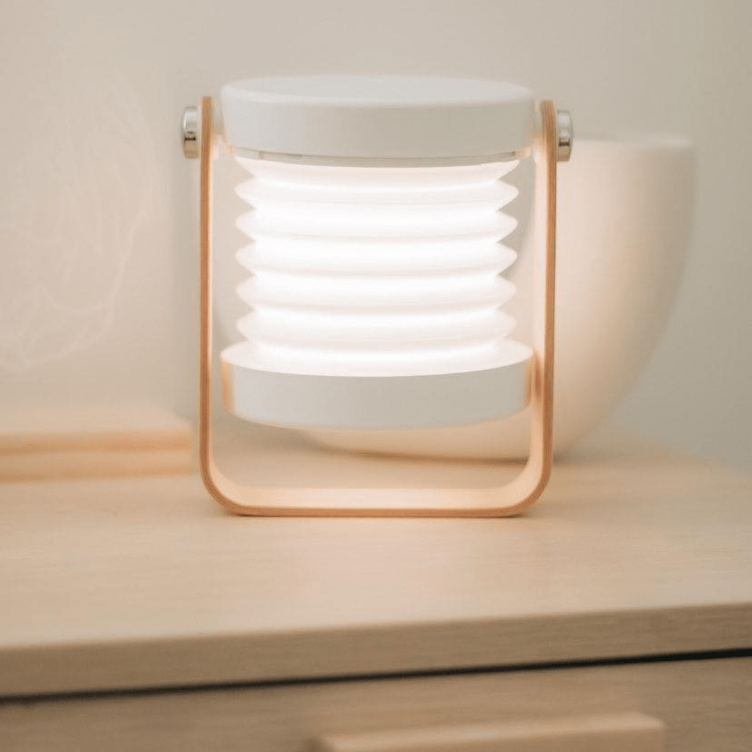 Modern Multi-Purpose Lamp