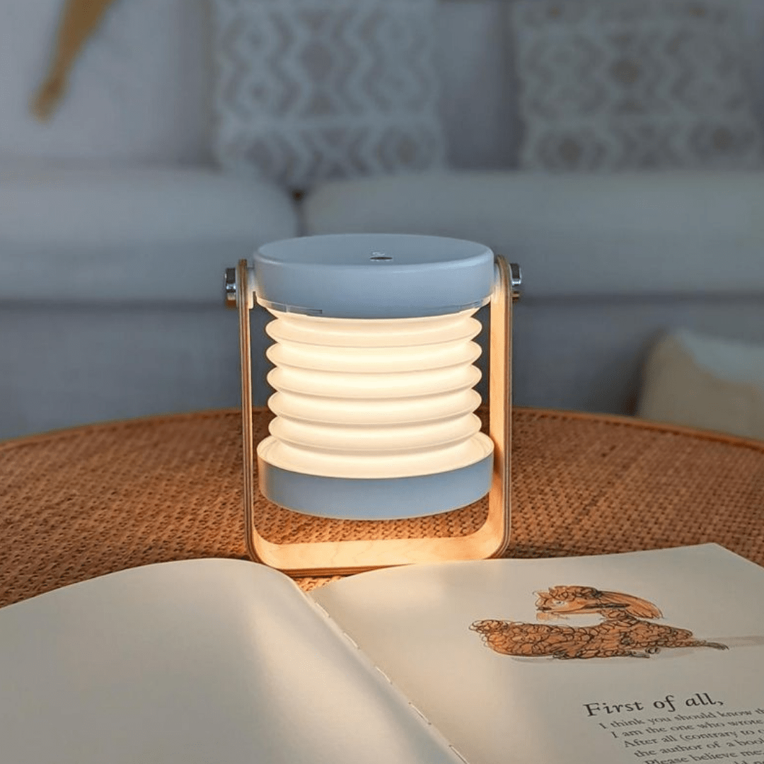 Modern Multi-Purpose Lamp