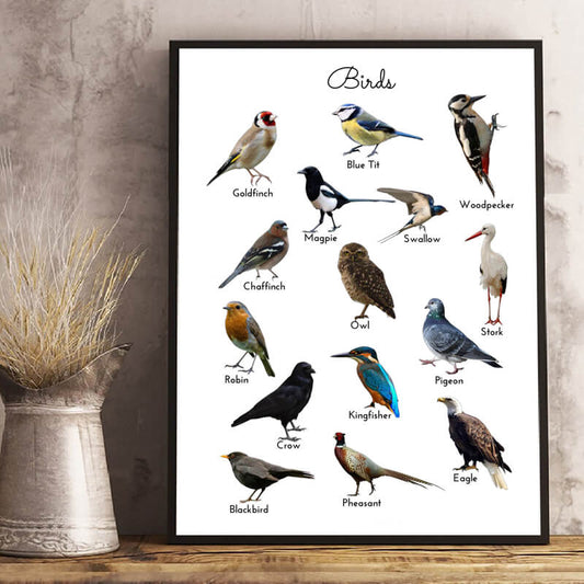 Birds Educational Minimalist Canvas Print | Nature Study Poster For Kids Room Living Room Office Home Décor