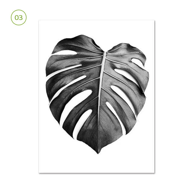 Black White Minimalist Botanic Canvas Prints Nature Pictures For Living Room Dining Room Inspirational Home Office Wall Decor