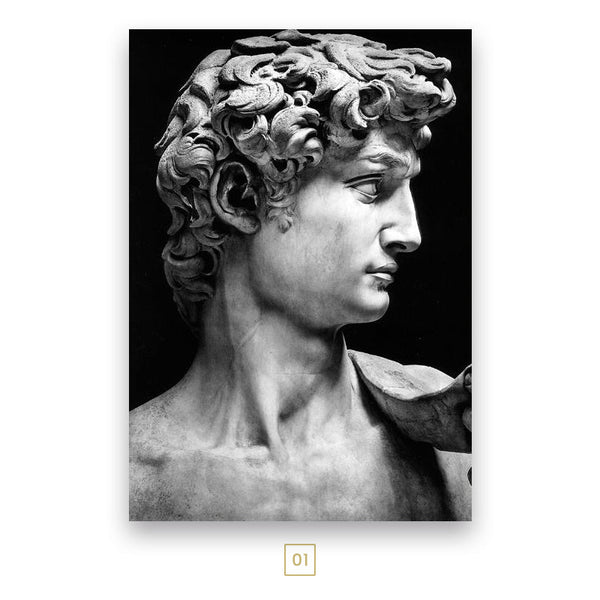 Classical Renaissance Michelangelo David Statue Canvas Print | Black ...