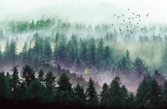Misty Valley Pine Forest Mural Wallpaper (SqM)