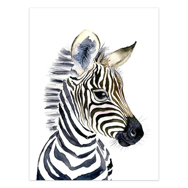 Baby Zebra Canvas Print