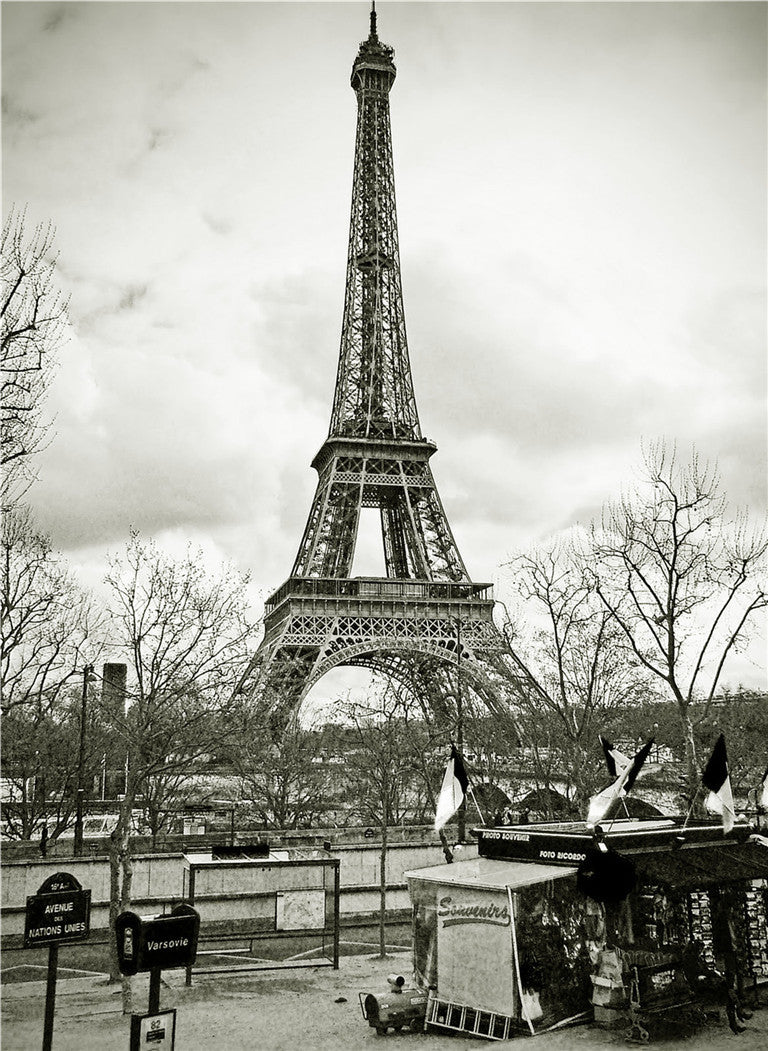 Eiffel Tower Photo Mural Wallpaper (SqM)