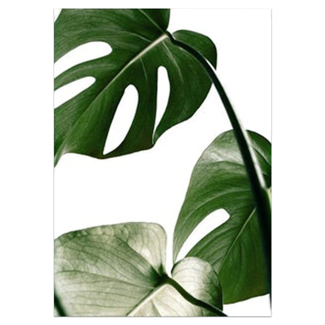 Green Monstera Leaves Canvas Print