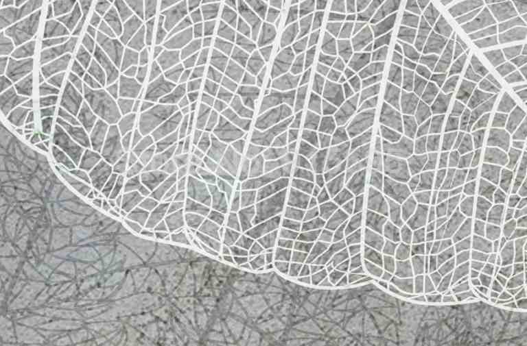 Nordic Grey Leaves Mural Wallpaper (SqM)