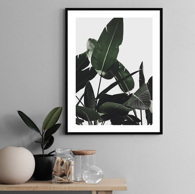 Banana Green Leaves Canvas Print