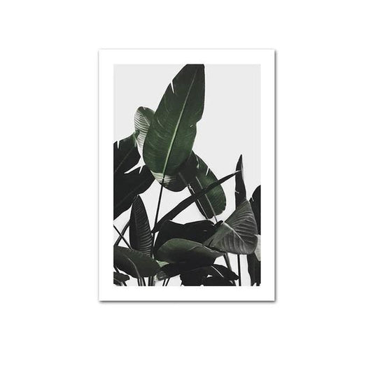 Banana Green Leaves Canvas Print