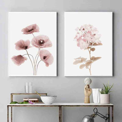 Pink Phlox Canvas Print