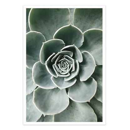 Scandinavian Plants Canvas Print