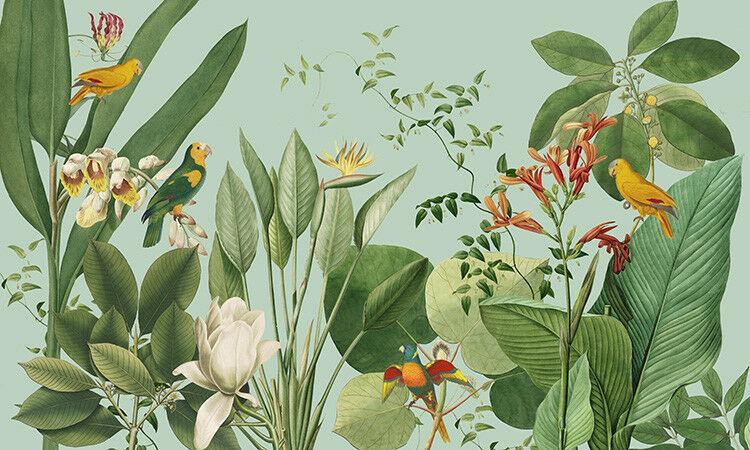 Paradise Birds Tropical Mural Wallpaper (SqM)