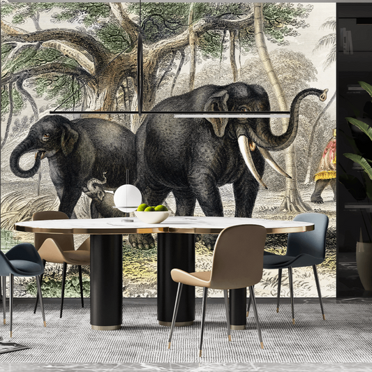 Asiatic Elephant and Caparisoned Elephant Mural Wallpaper (SqM)