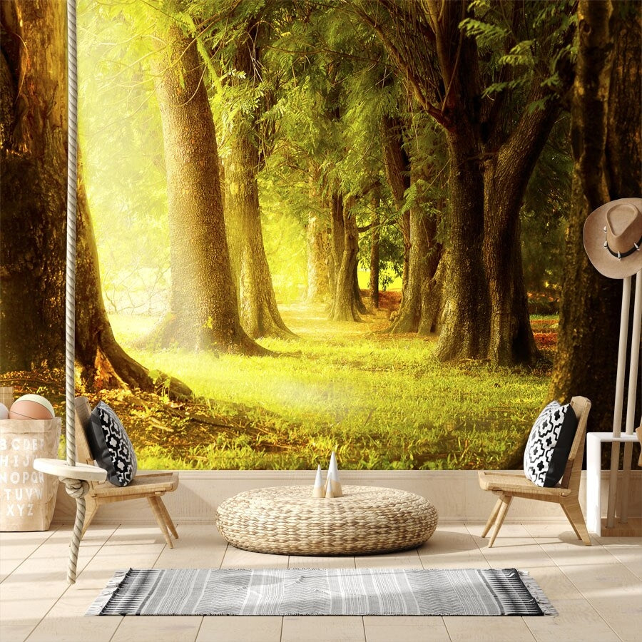 Autumn Forest Trees Mural Wallpaper (SqM)