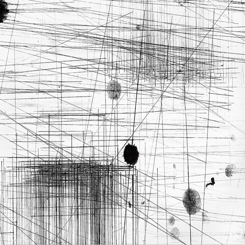 Black Lines Mural Wallpaper (SqM)