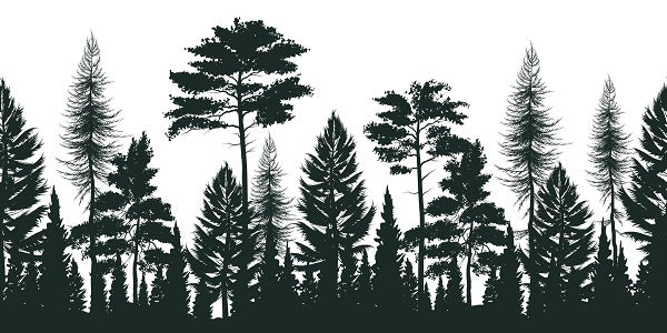 Black and White Silhouette Pine Forest Mural Wallpaper (SqM)