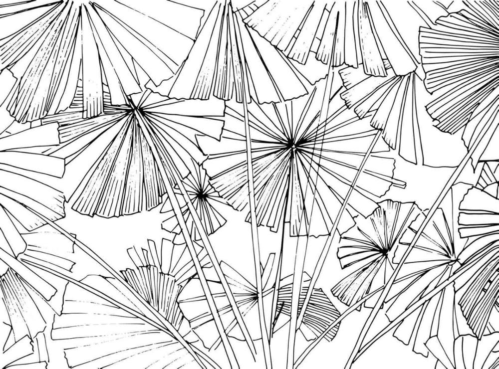 Black and White Umbrella Sketch Mural Wallpaper (SqM)