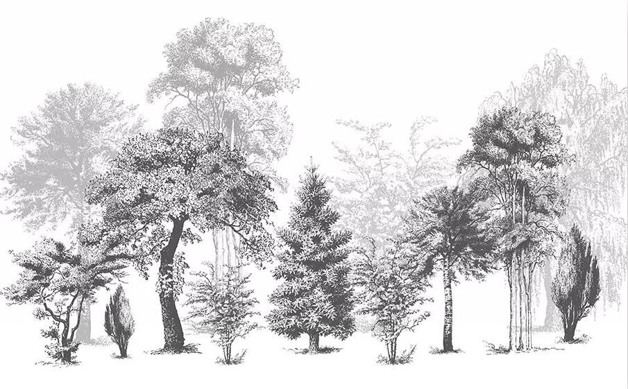 Black and White Trees Mural Wallpaper (SqM)