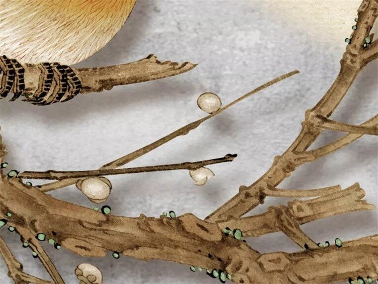 Blossom Tree in the Moonlight Mural Wallpaper (SqM)