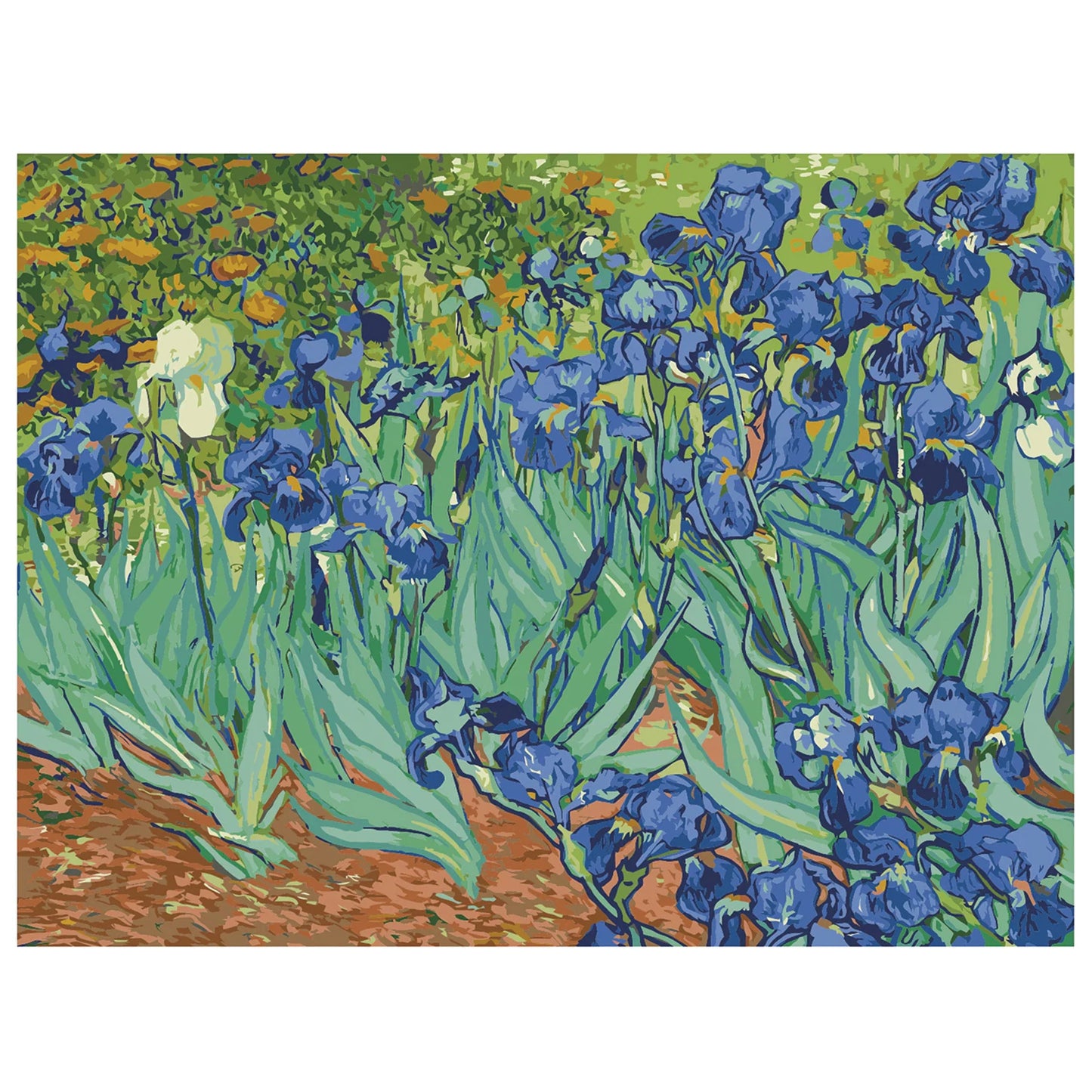 DIY Paint By Numbers - Irises by Van Gogh Painting Canvas