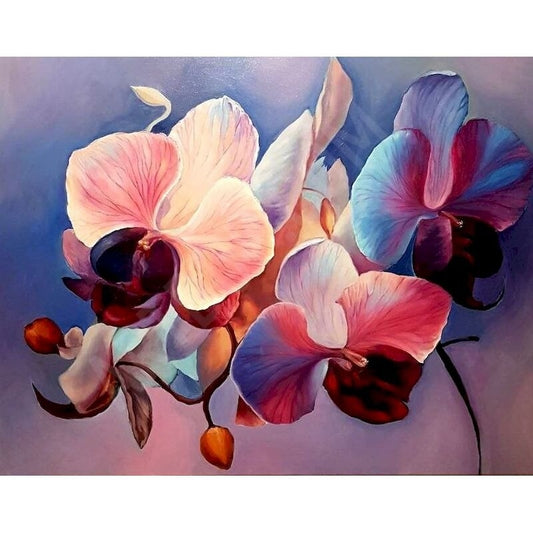 DIY Paint By Numbers - Orchid Flowers Painting Canvas