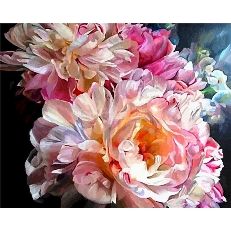 DIY Paint By Numbers - Pink Peonies Painting Canvas