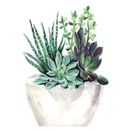 DIY Paint By Numbers - Succulent Plants in the Pot Painting Canvas