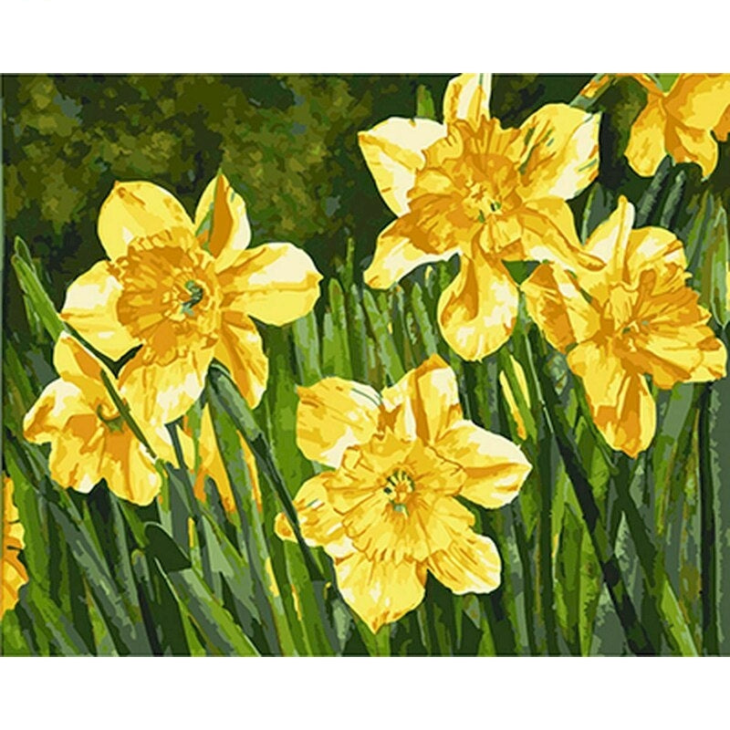 DIY Paint By Numbers -  Yellow Narcissus Painting Canvas