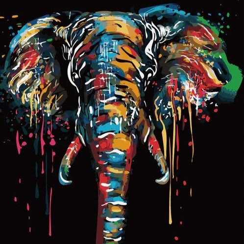DIY Paint By Numbers - Colorful Elephant Painting Canvas