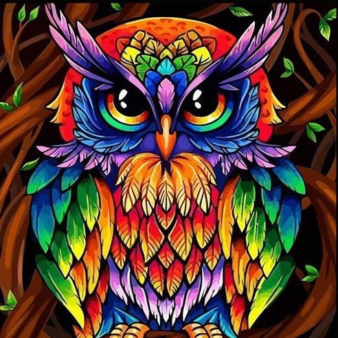 DIY Paint By Numbers - Colorful Owl Painting Canvas