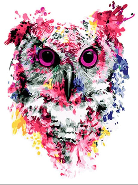 DIY Paint By Numbers - Owl Painting Canvas