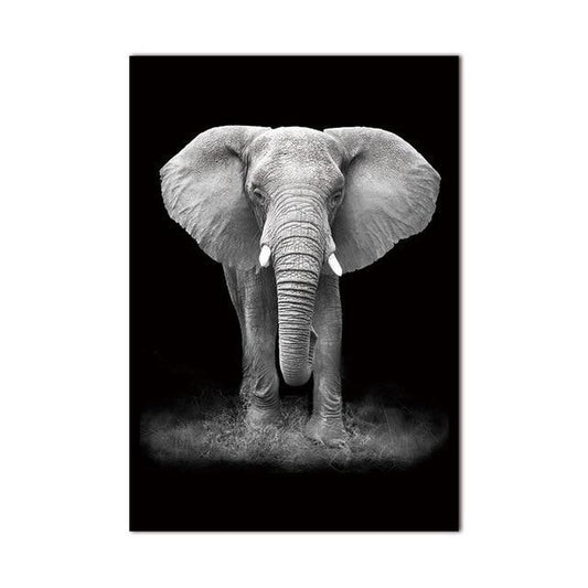 Elephant Canvas Wall Art