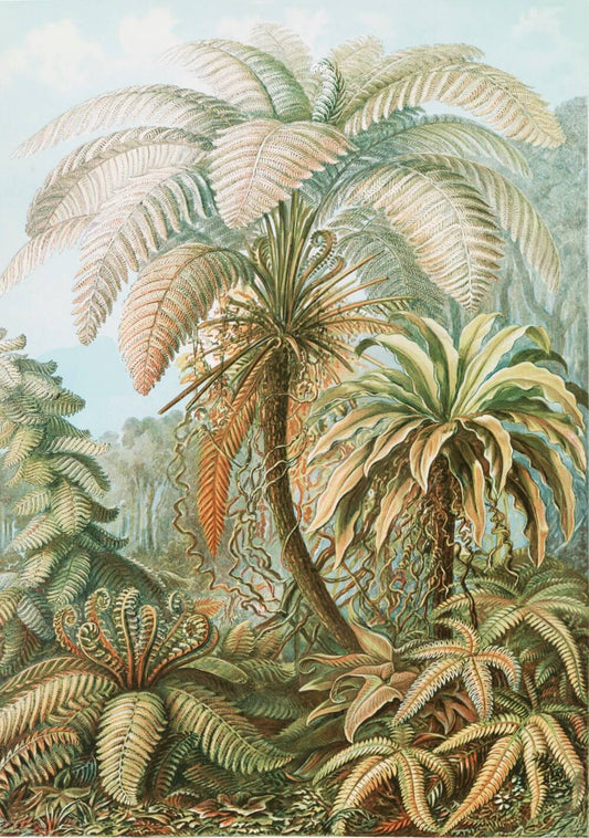 Fierce Jungle Palms Mural Wallpaper (SqM)