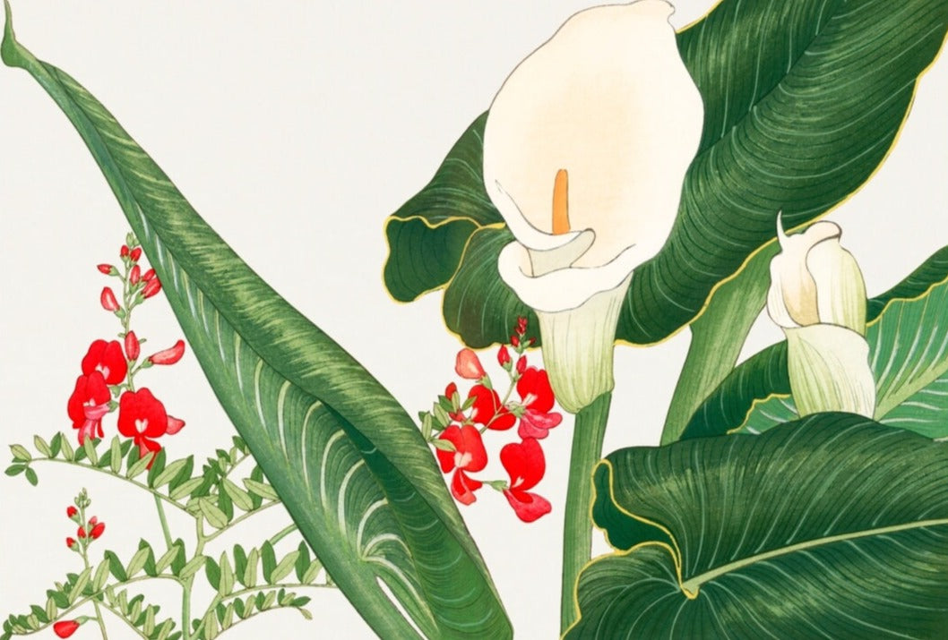 White Calla Lily Flowers Mural Wallpaper (SqM)
