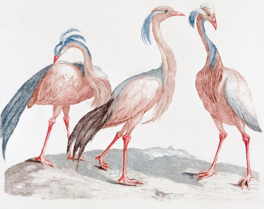 Miss Crane Birds Mural Wallpaper (SqM)