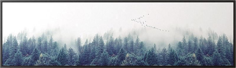 Nordic Forest Fog Landscape