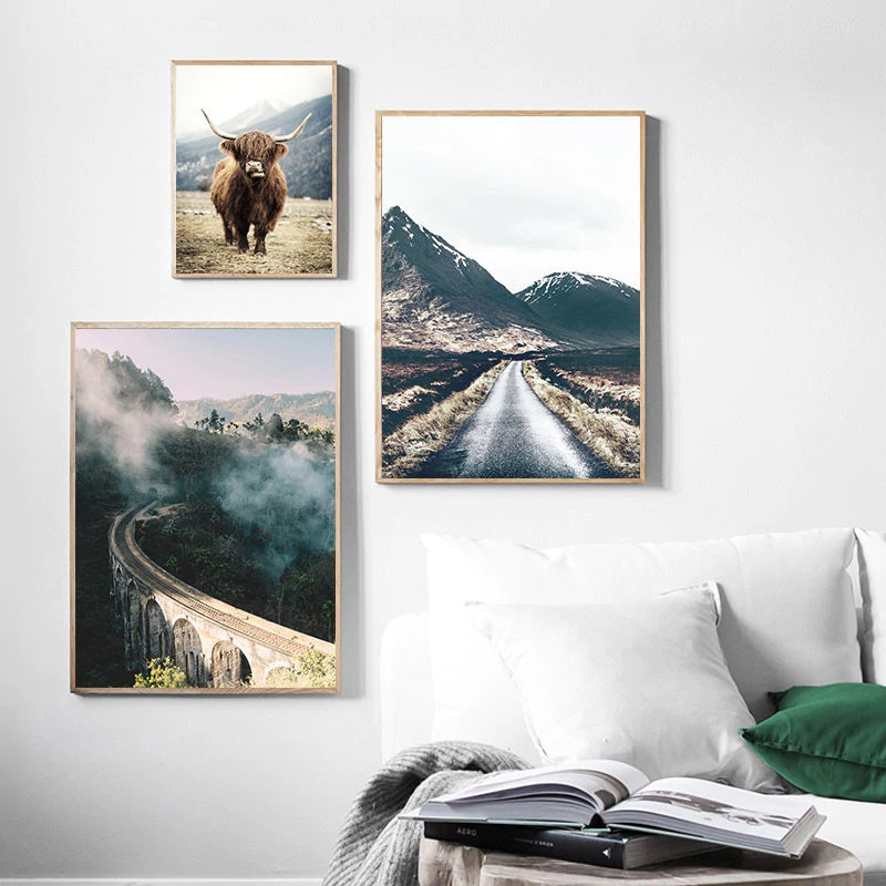 Nordic Highland Cattle Canvas Print