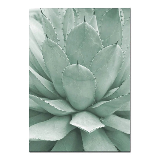 Scandinavian Succulent Canvas Print