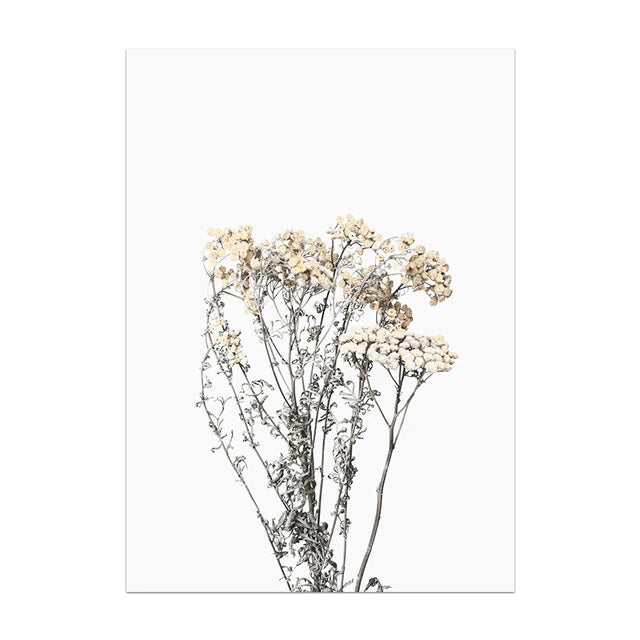 Nordic Minimalist Field Herbs Canvas Print