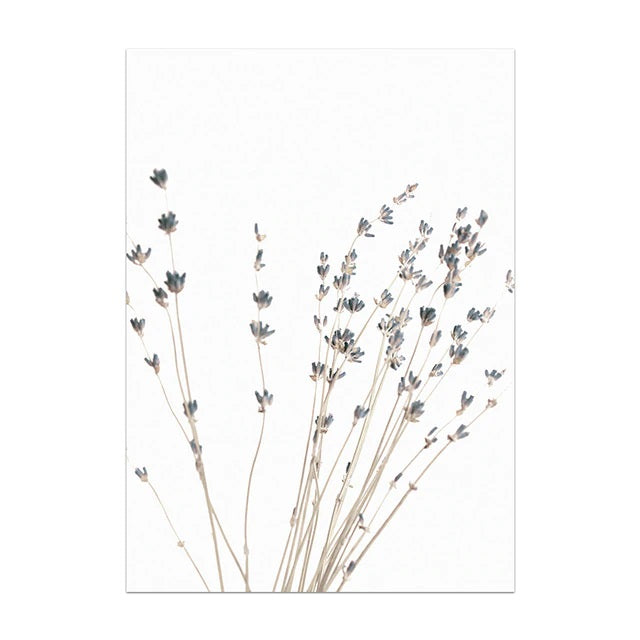 Nordic Minimalist Field Plants Canvas Print