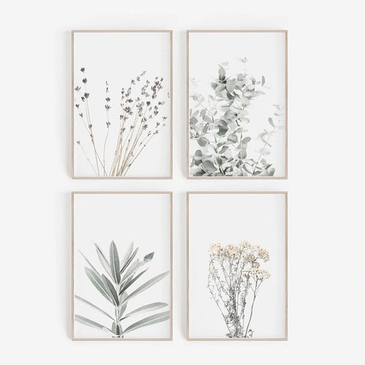 Nordic Minimalist Field Plants Canvas Print