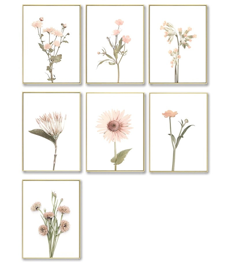 Anemone Nordic Wild Flowers Canvas Print