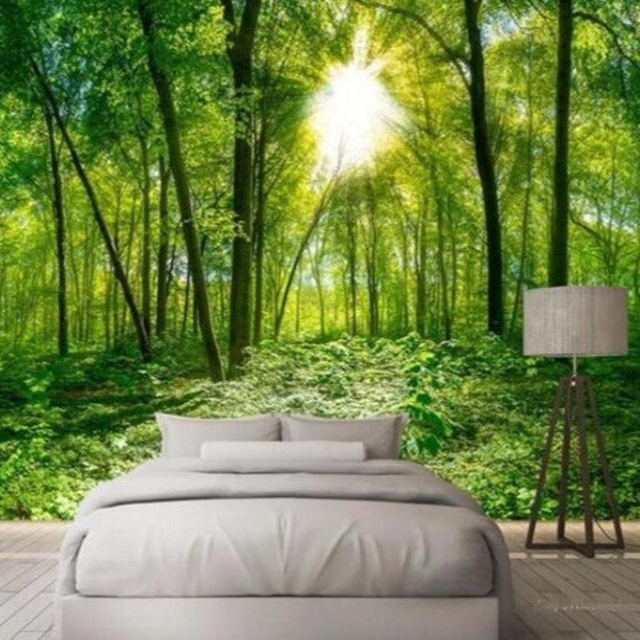 Peaceful Forest in the Sunlight Wall Mural (SqM)