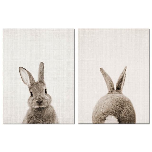 Rabbit Bunny Tail Canvas
