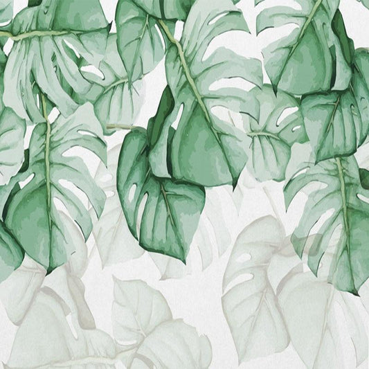 Rainforest Morning Wallpaper (SqM)